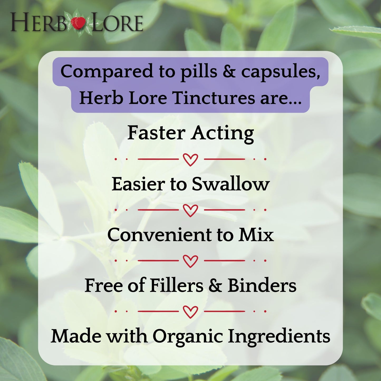 Herb Lore Alfalfa tincture bottle with dropper