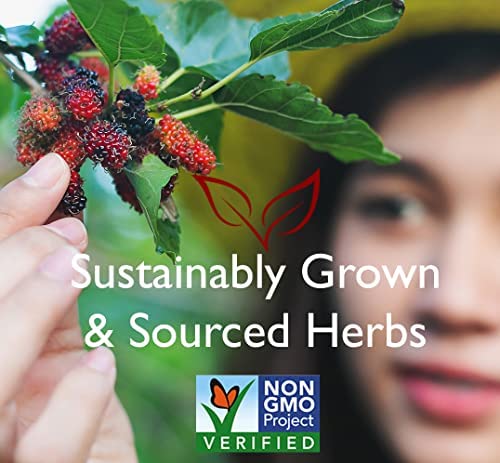 Bravo Tea Lion's Mane nutritional information and certification labels