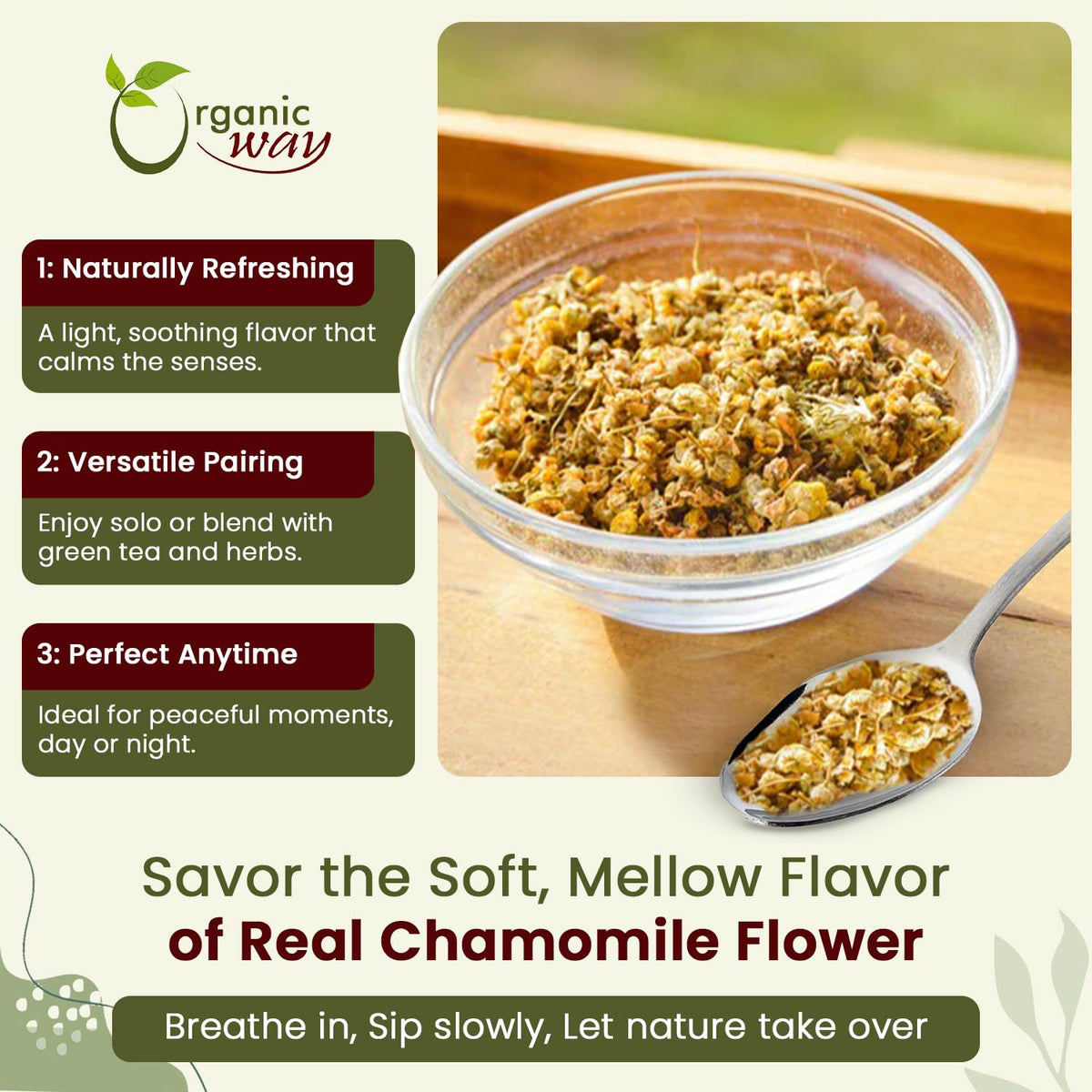 Close up view of premium European wild harvest dried chamomile flowers for brewing.