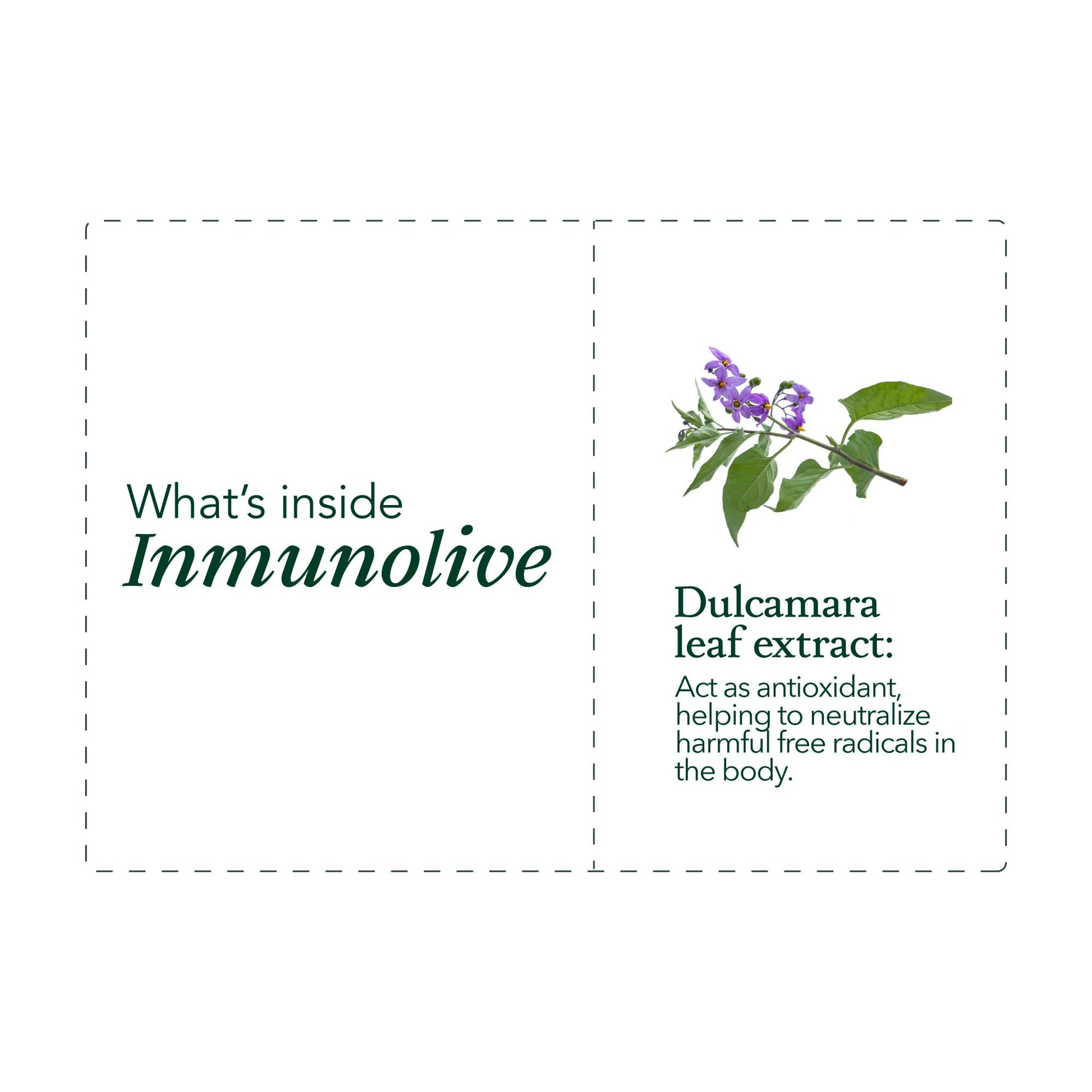 Measurement cup included with Vall Inmunolive oral solution