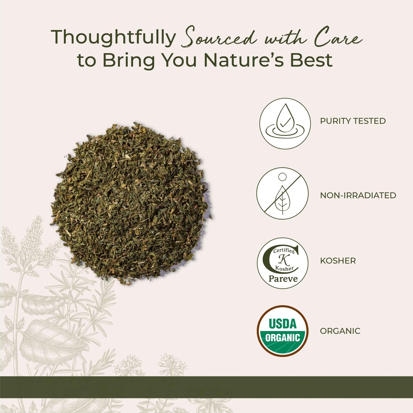 Organic alfalfa leaf loose herb texture and vibrant green color