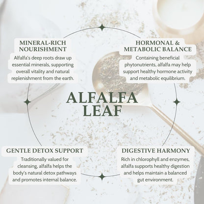 Back of Elanen Naturals organic alfalfa leaf packaging with details