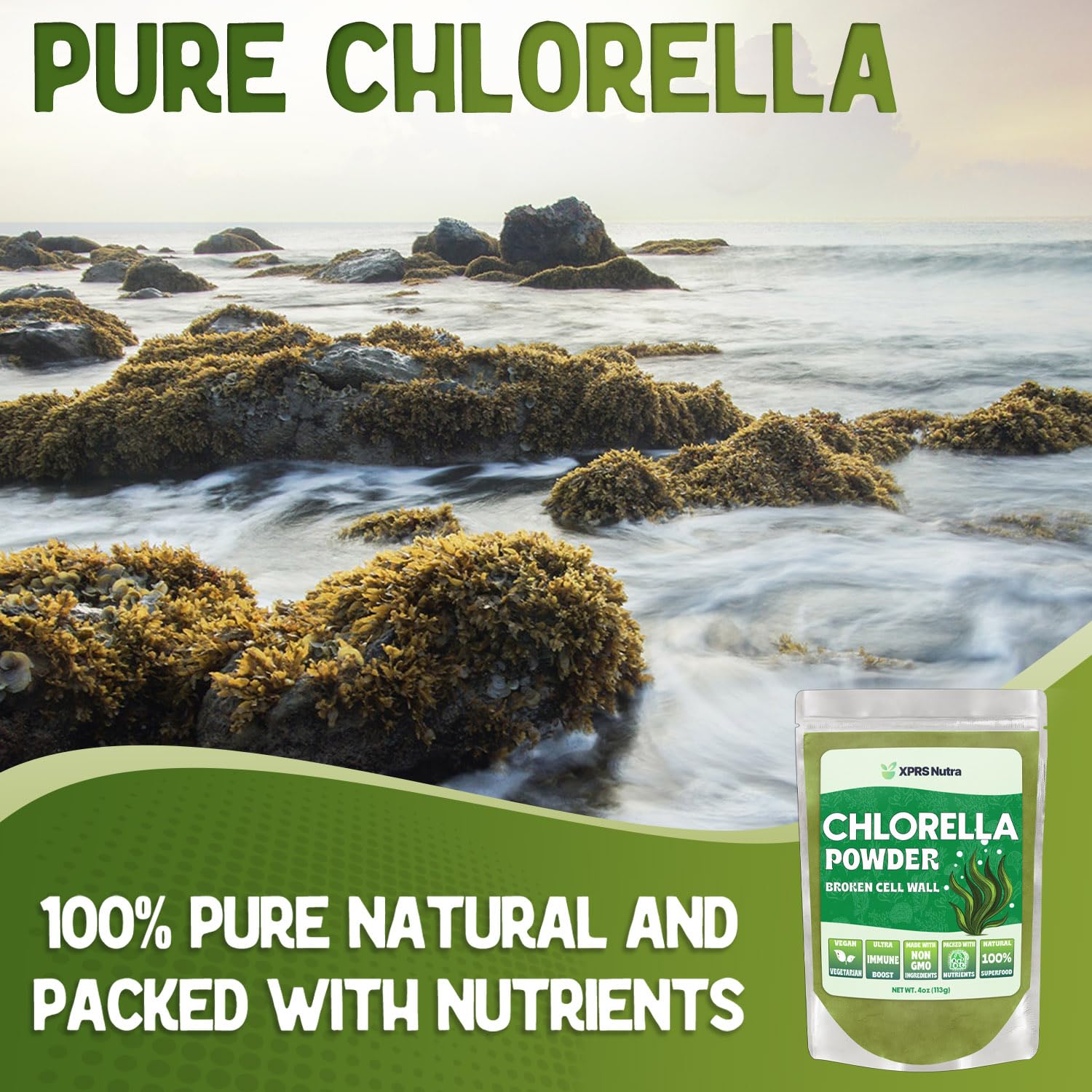 Scoop of XPRS Nutra chlorella powder showing fine consistency