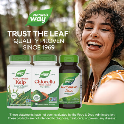 Nature's Way Chlorella micro algae capsule texture