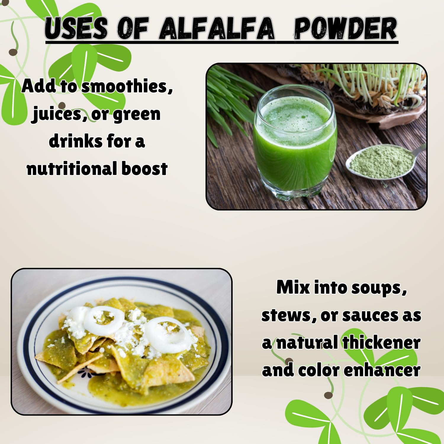 Alfalfa powder mixed in a green healthy smoothie
