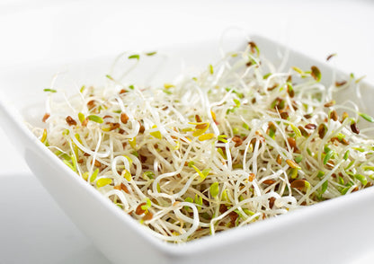 Nutritious salad bowl topped with organic alfalfa sprouts