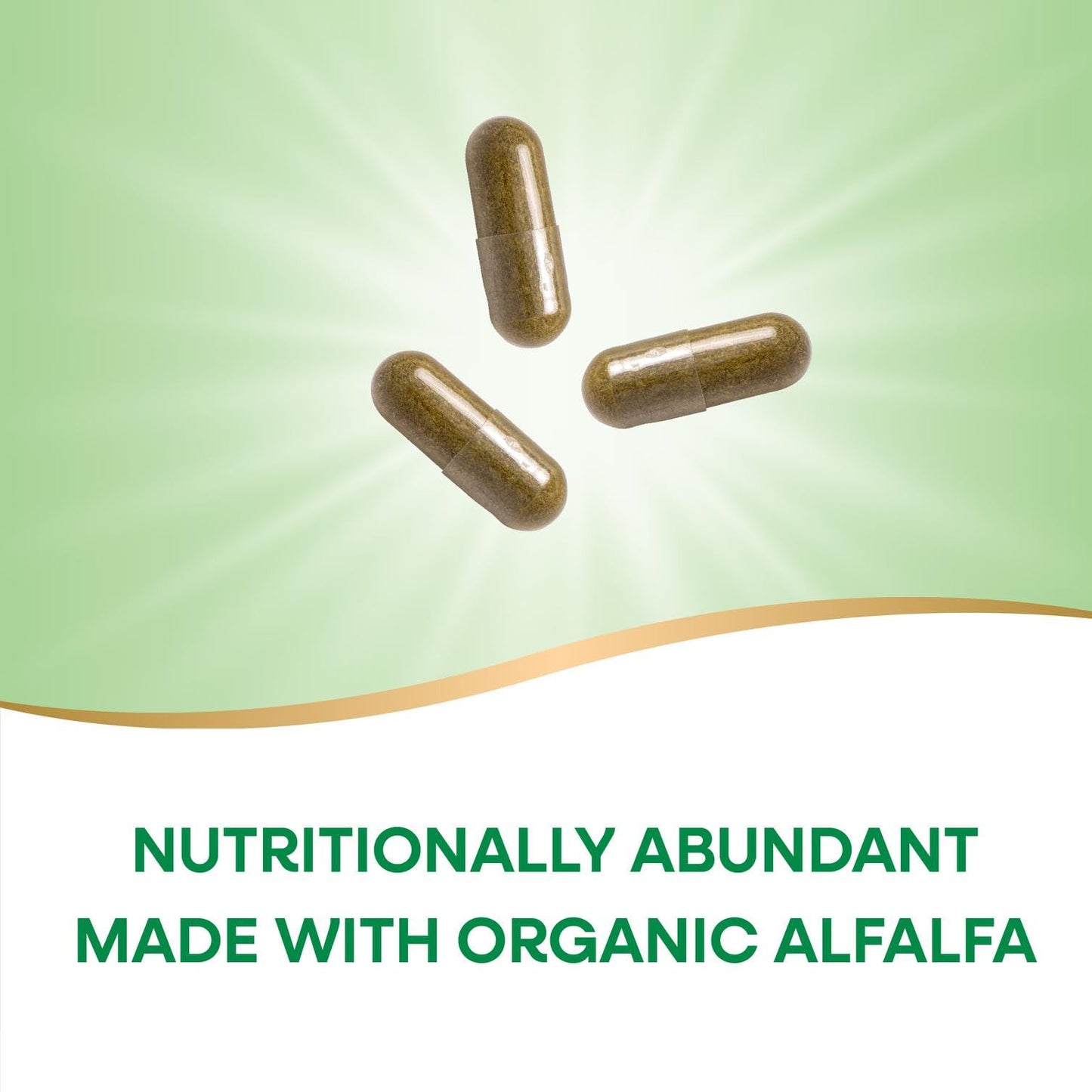 Close up of Nature's Way Alfalfa 100 capsules bottle