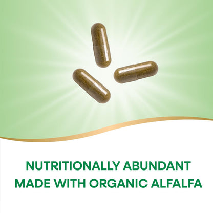 Close up of Nature's Way Alfalfa 100 capsules bottle