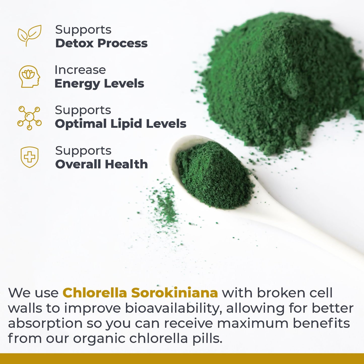 Side view of Premier Research Labs Medi Chlorella Fx bottle