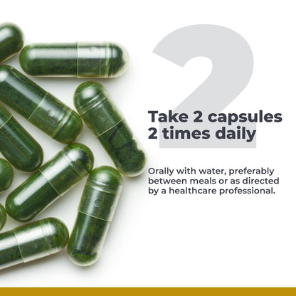 Top view of Premier Research Labs supplement packaging