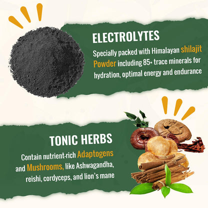Sundhedsliv Super Greens Powder benefits infographic