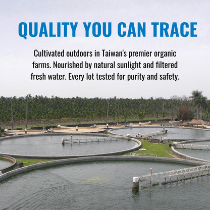 On Target Living algae blend ingredients list and purity