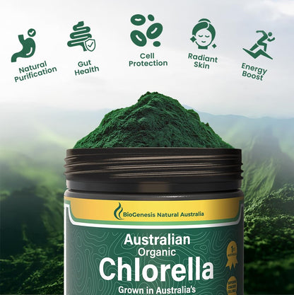 Close up of organic chlorella powder texture