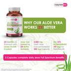 Close up of Cosynee Life Aloe Vera capsule texture