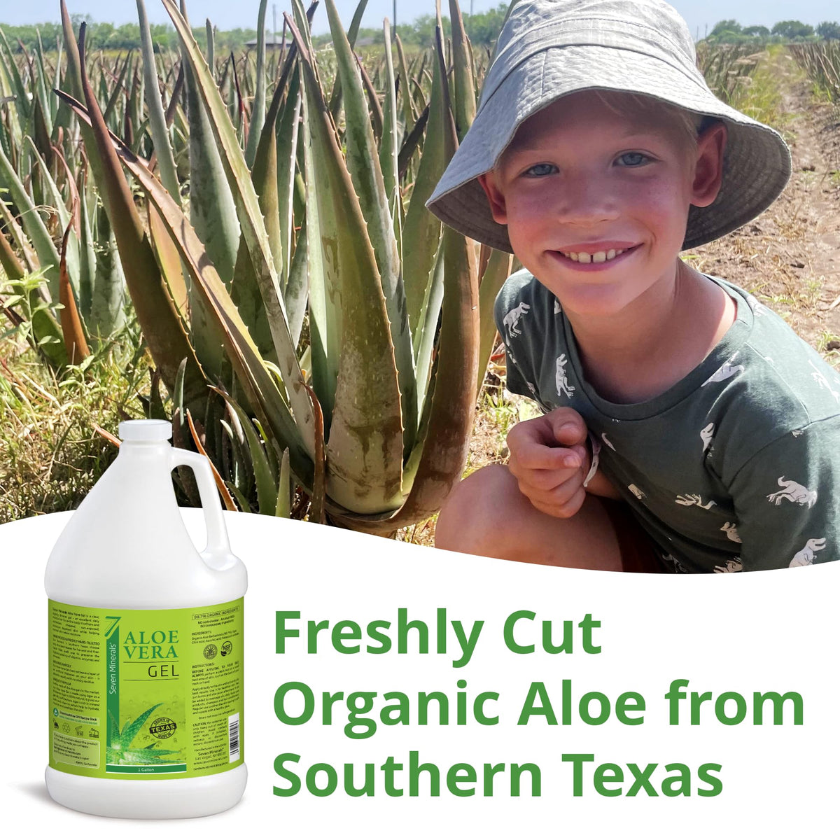 One gallon jug of pure freshly cut aloe vera liquid for skin