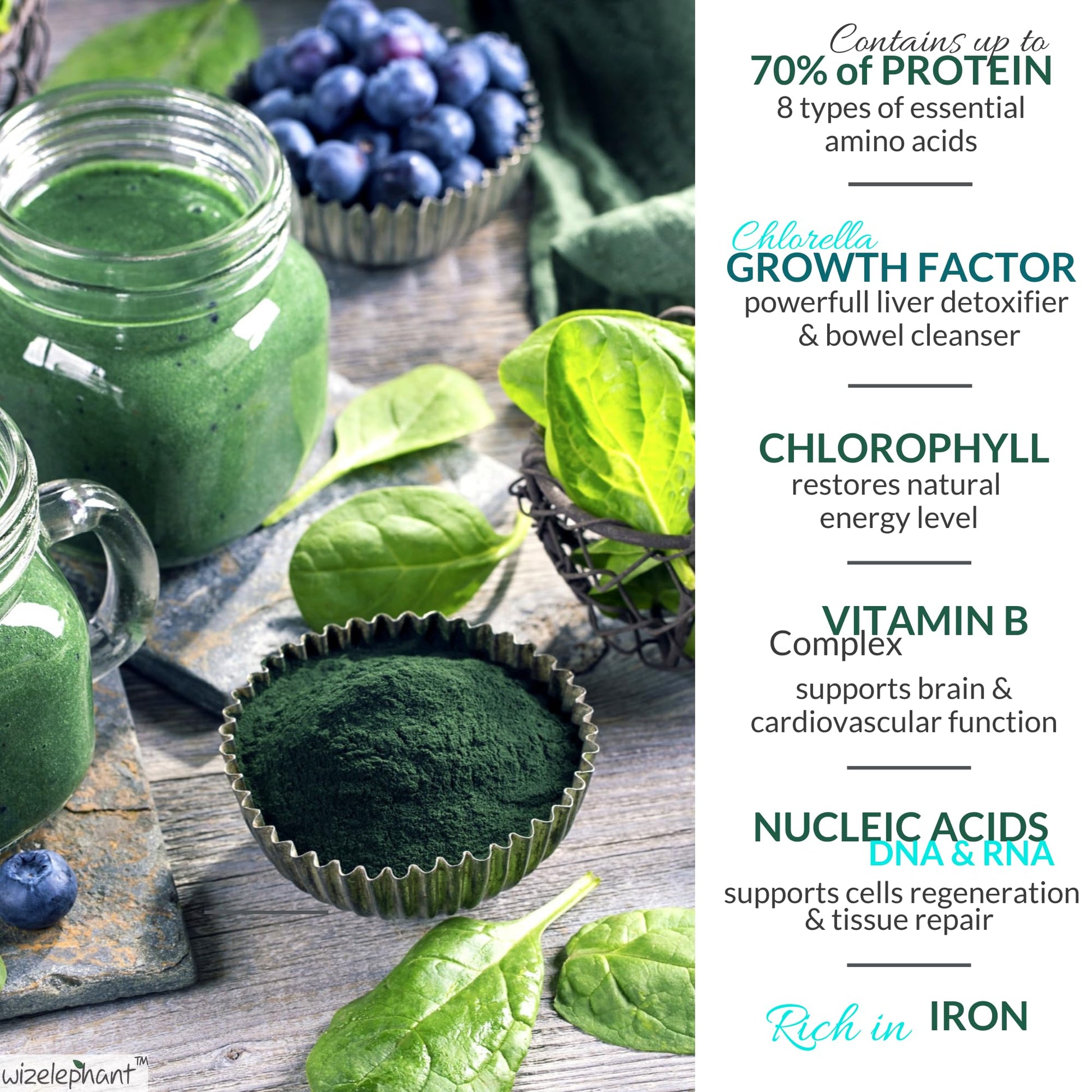 Premium grade broken cell wall chlorella and spirulina tablets