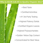 Authentic Aloe Life whole leaf aloe vera juice blend bottle for healthy intestinal tract care