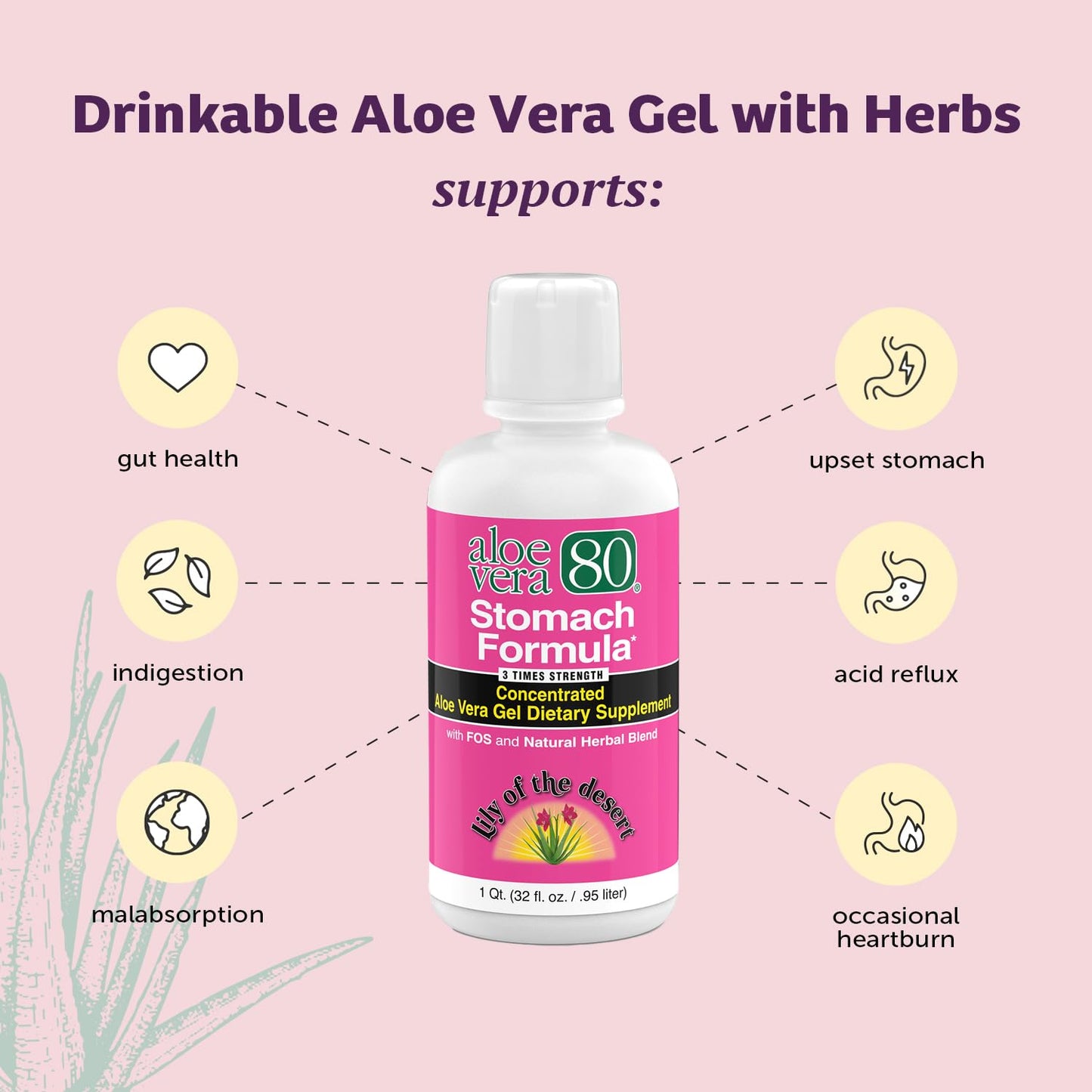 Close up of Lily Of The Desert Aloe Vera 80 Stomach Formula nutrition label
