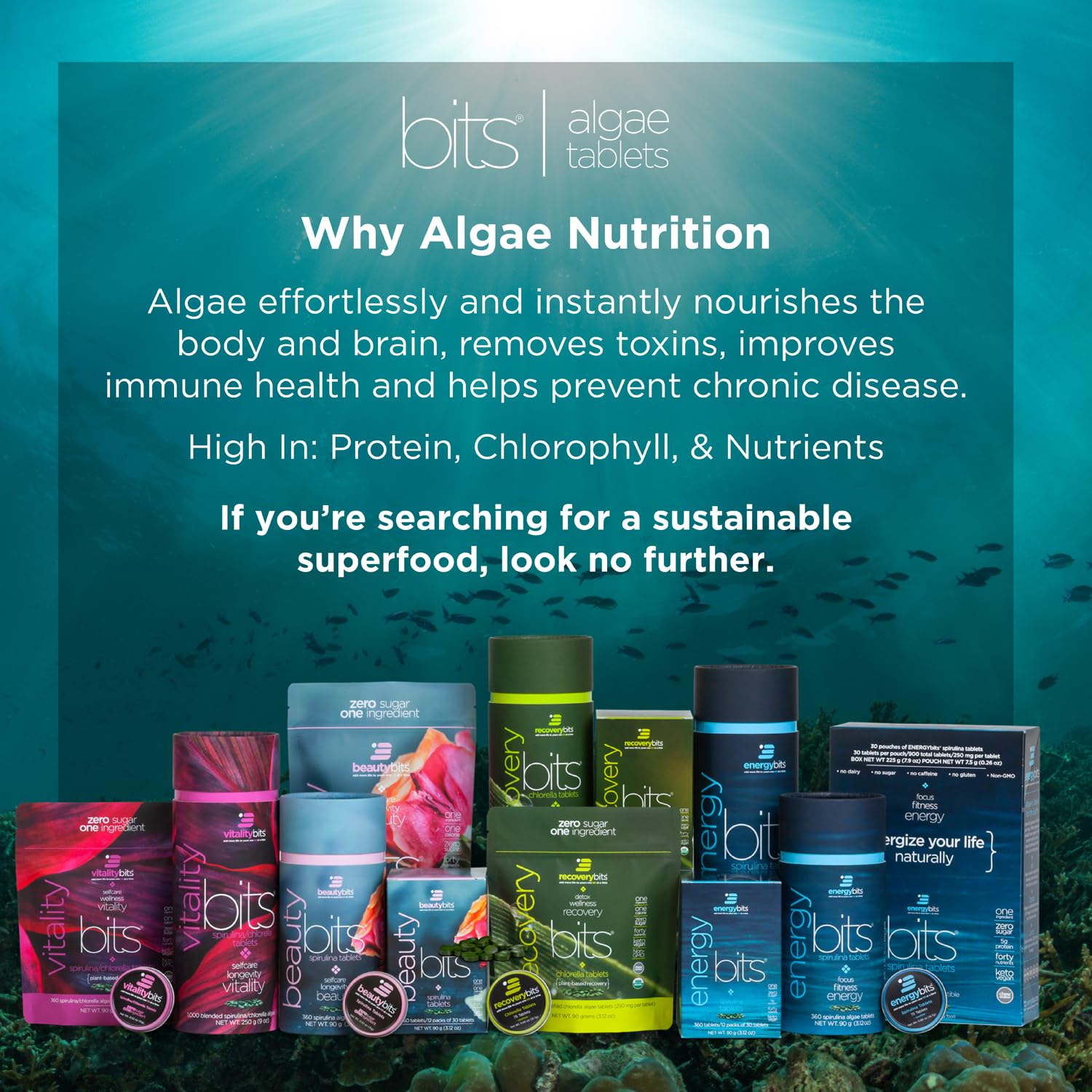 Close up of Energybits algae tablets on a white background