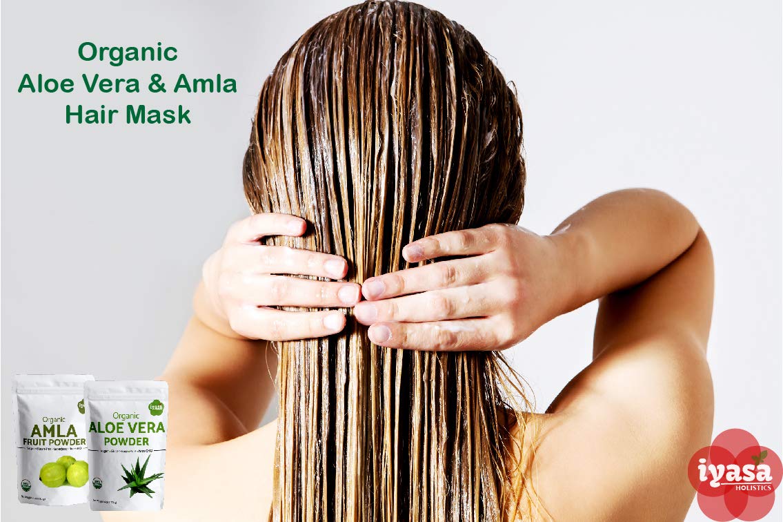 Lifestyle shot of natural beauty ingredients with aloe powder
