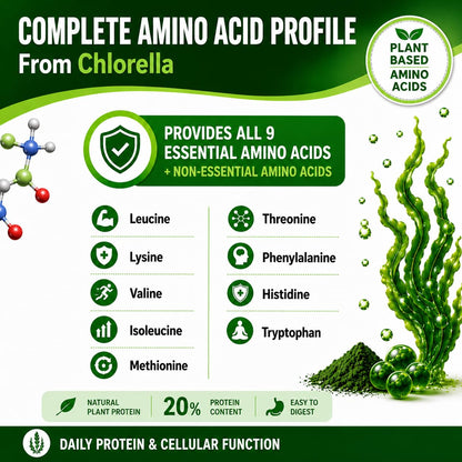 Premium blue green algae chlorella supplement bottle