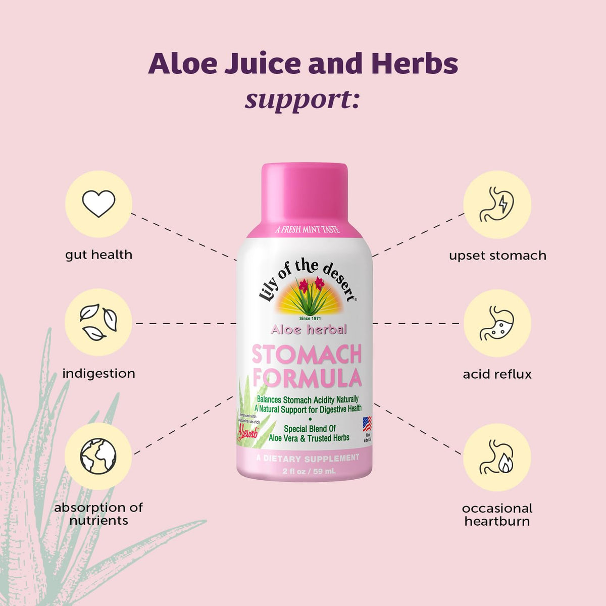 Back of packaging showing organic ingredients and herbal blend