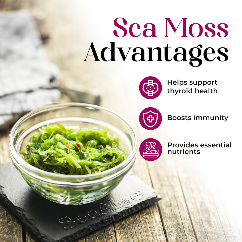 Nature's Liquids SeaAloe health supplement bottle detailing the blend of seven sea vegetables.