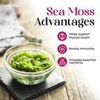 Nature's Liquids SeaAloe health supplement bottle detailing the blend of seven sea vegetables.