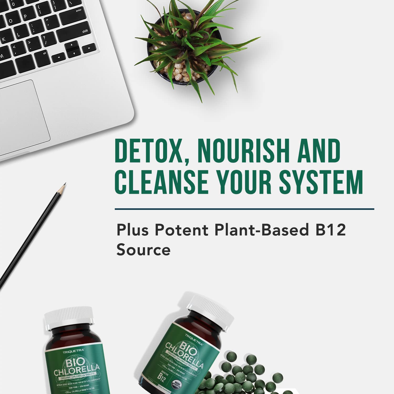 Close up of raw sun-grown organic chlorella tablets