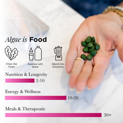 Energybits Vitalitybits plant-based superfood tablets texture