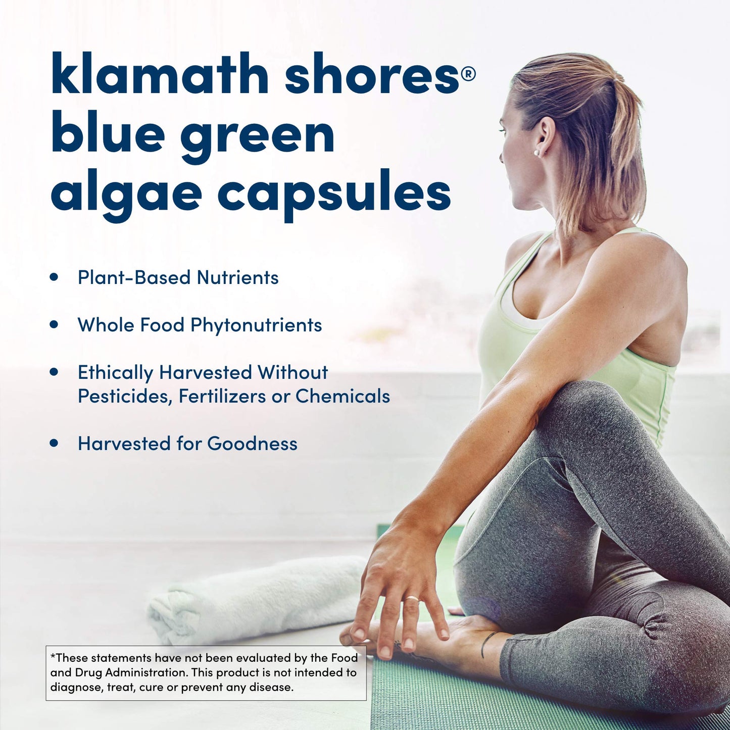 Nutritional label detail for American Health Klamath Shores algae