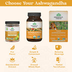 Organic India Ashwagandha Gummies lifestyle serving suggestion
