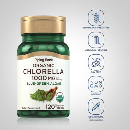 Broken cell wall Chlorella algae superfood nutritional benefits