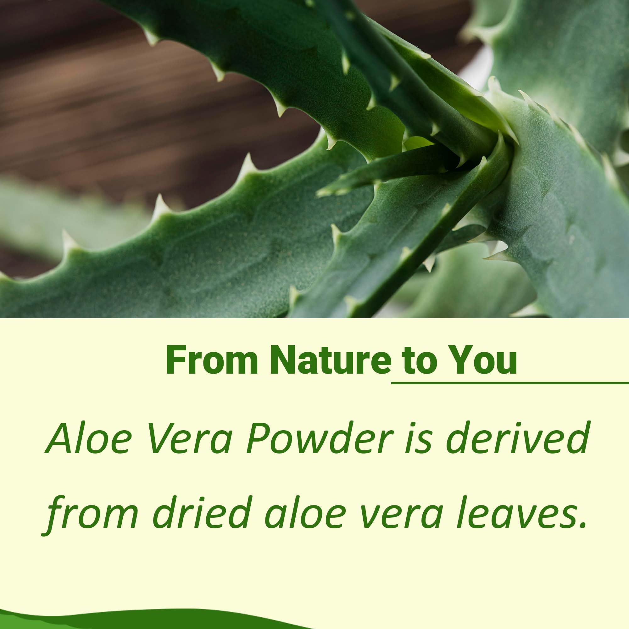 Resealable bag of minature aloe vera powder