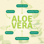 Aloe Life ACTIValoe certified whole leaf supplement ingredient list