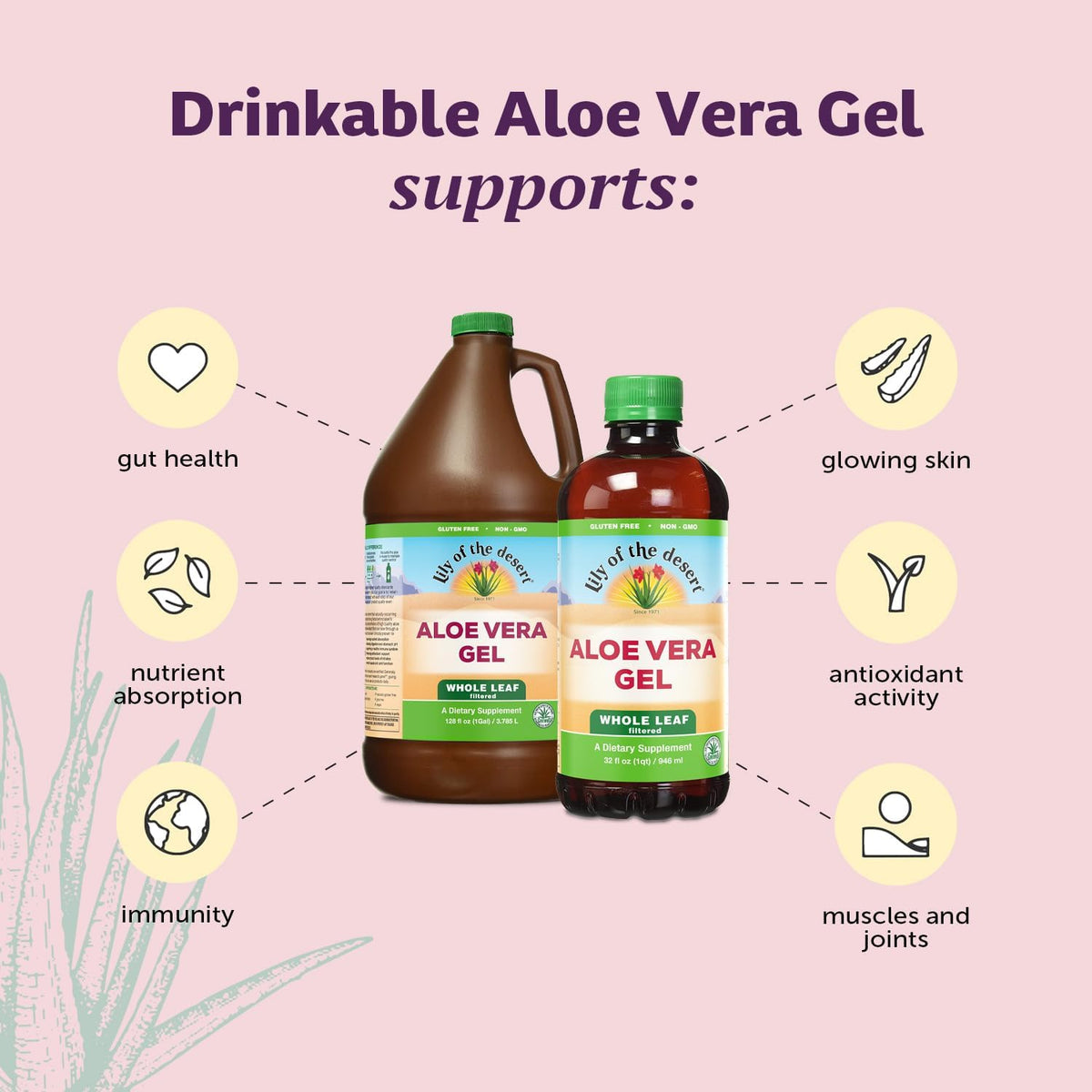 Back label view of Lily Of The Desert one gallon aloe vera gel displaying serving directions.