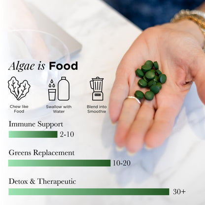 Authentic USA imported Recoverybits chlorella algae 1000 tablets