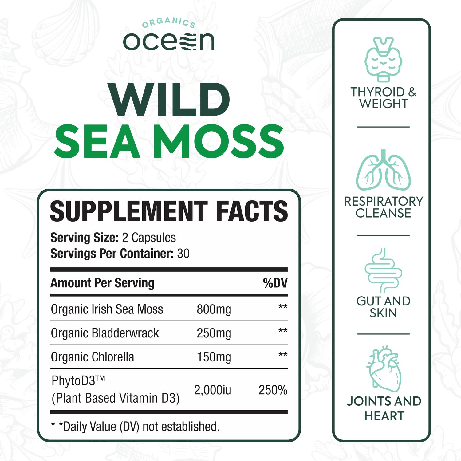 Organics Ocean sea moss dietary supplement bottle showcasing the four in one wellness formula ingredients.