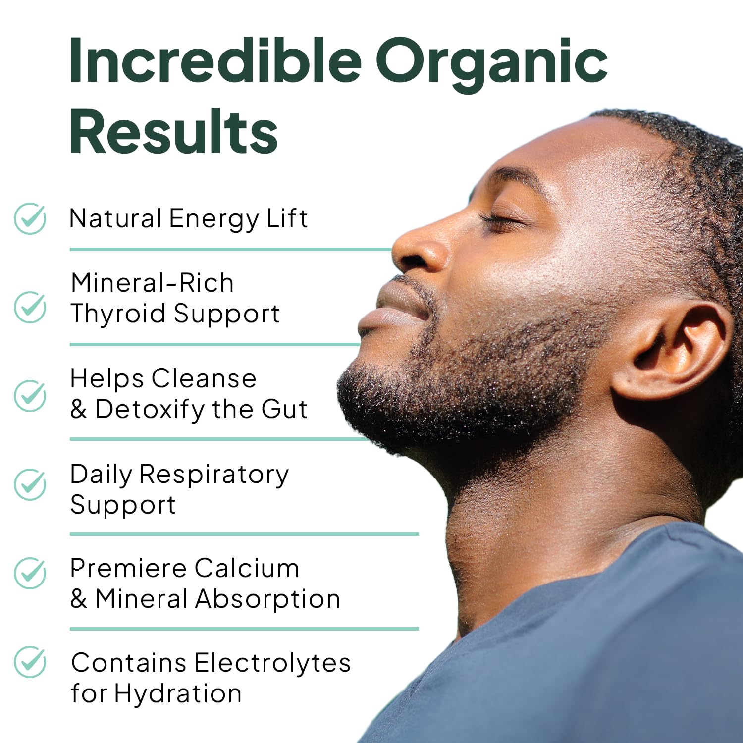 Organics Ocean wildcrafted Atlantic sea moss capsules bottle displaying thyroid and lung health support benefits.