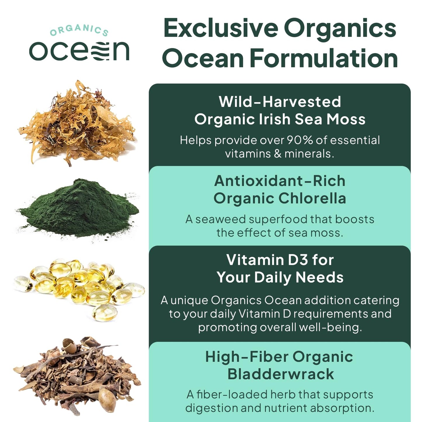 Close up view of the organic chlorella and bladderwrack blend capsules from Organics Ocean.