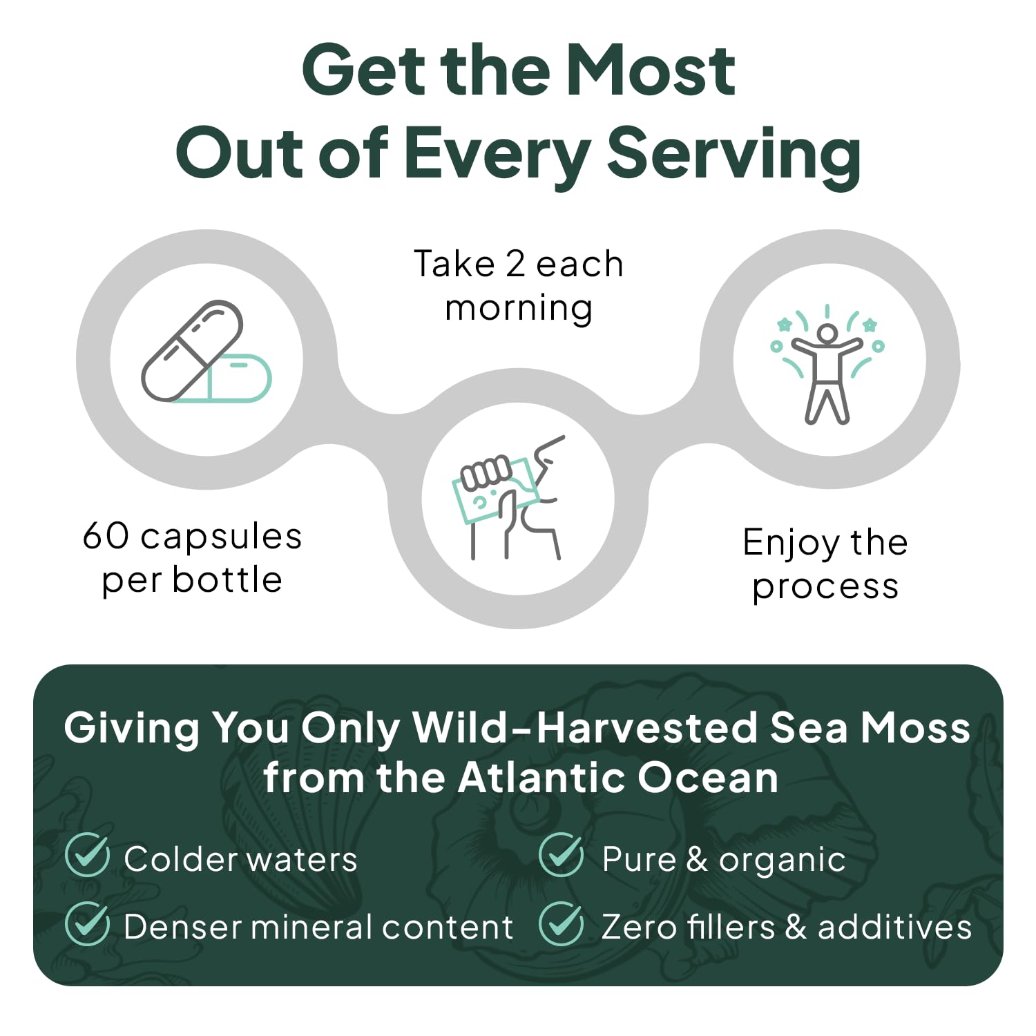 Authentic USA imported Organics Ocean wild sea moss capsules bottle standing upright on a clean background.