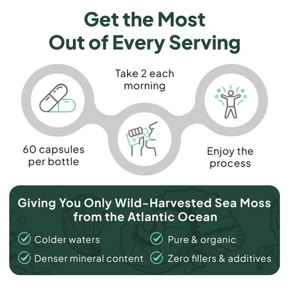 Authentic USA imported Organics Ocean wild sea moss capsules bottle standing upright on a clean background.