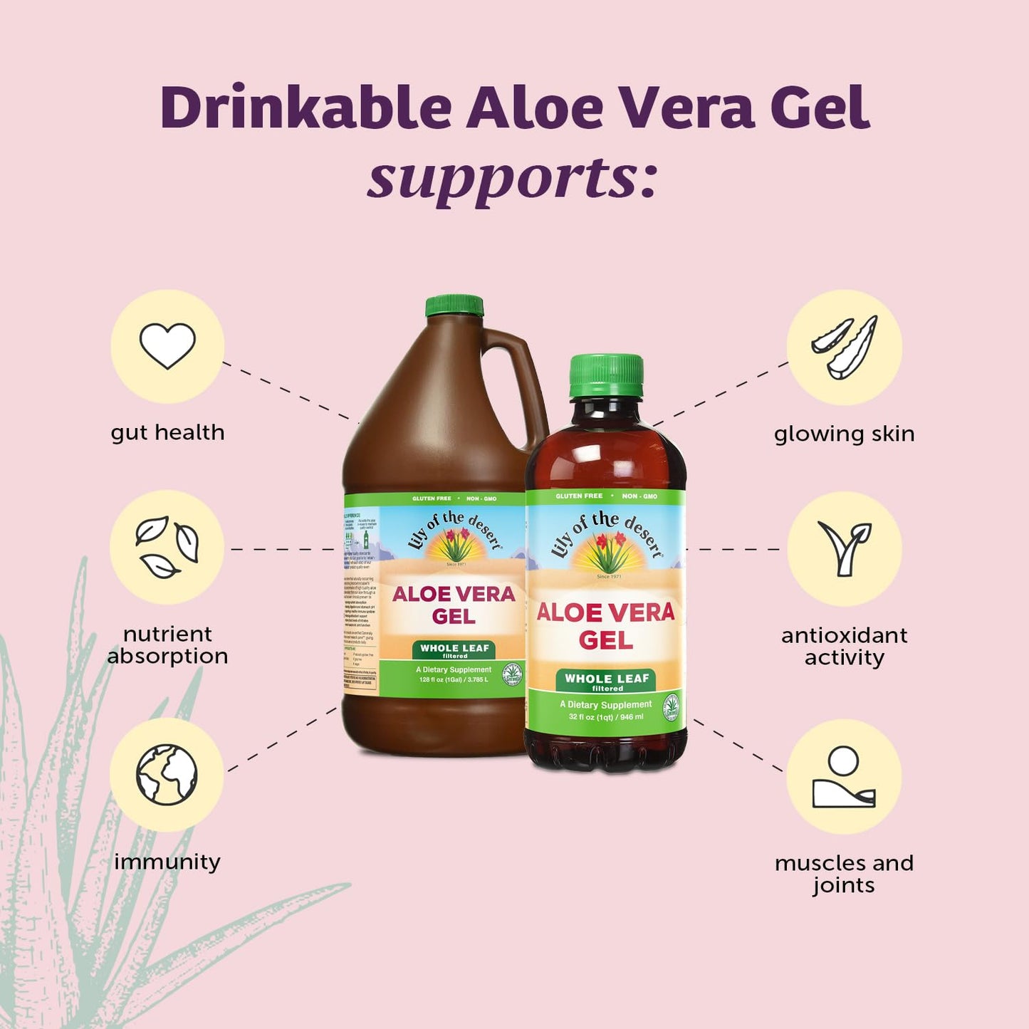 Back label of Lily of the Desert Aloe Vera Gel showing ingredients
