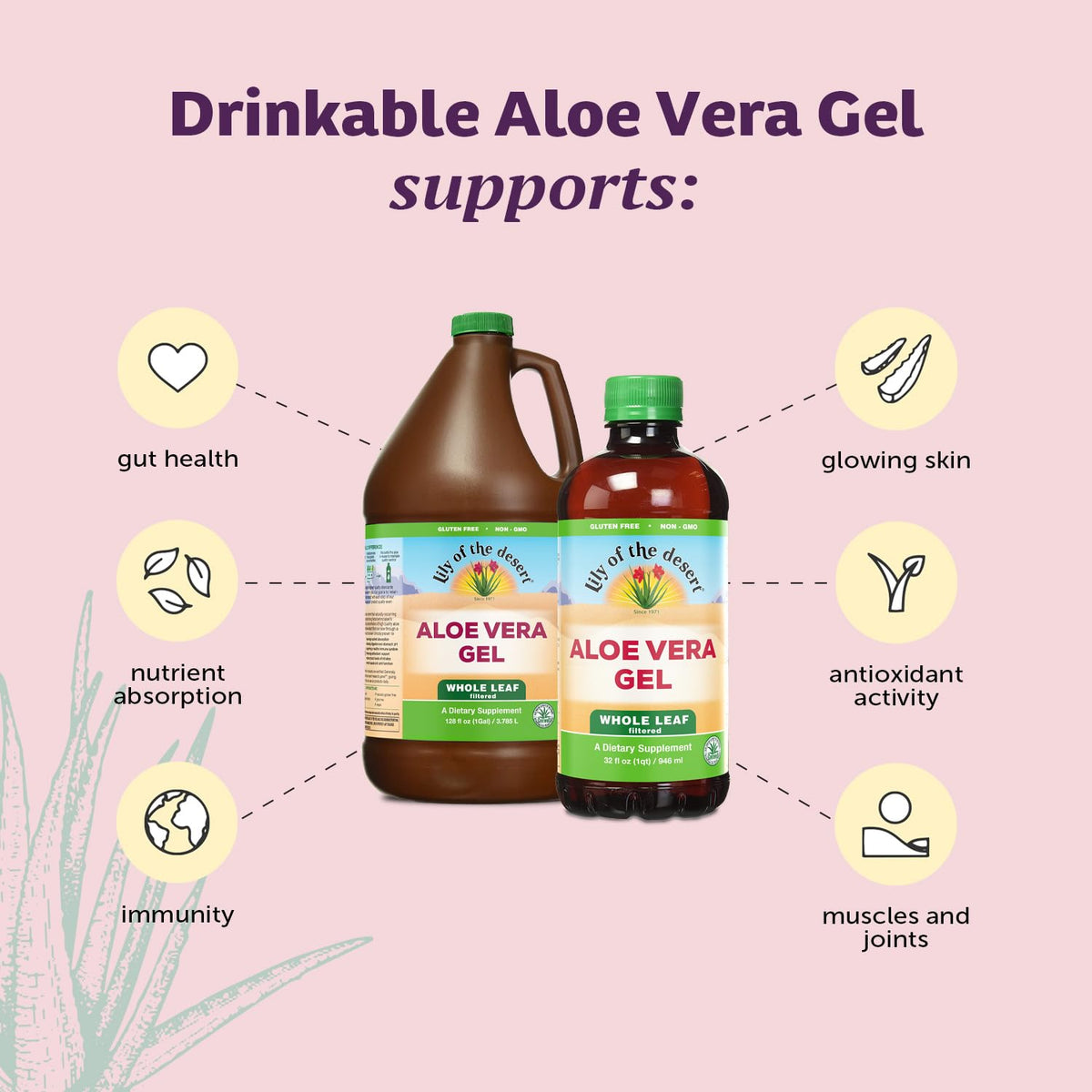 Back label of Lily of the Desert Aloe Vera Gel showing ingredients