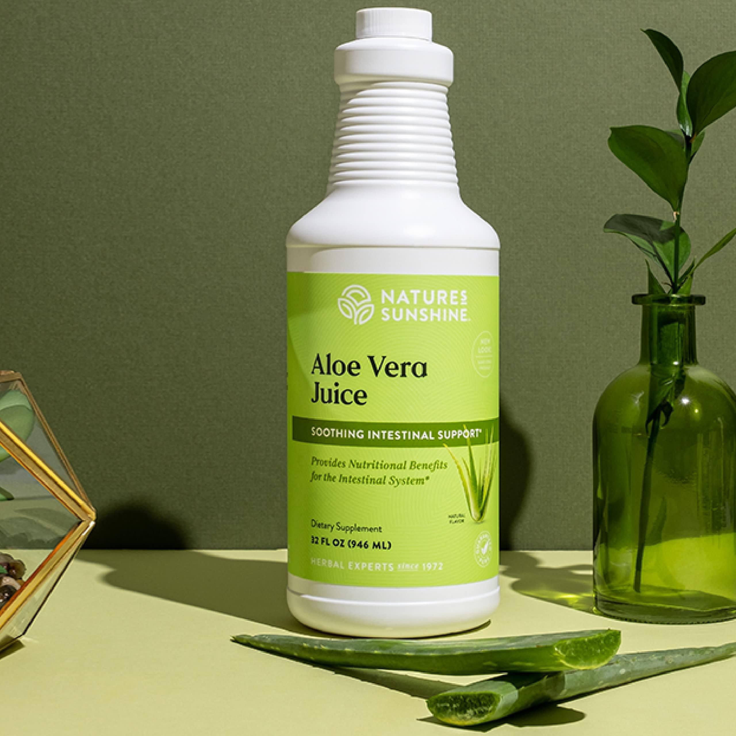 Nature's Sunshine Aloe Vera Juice inner leaf concentrate nutritional supplement bottle