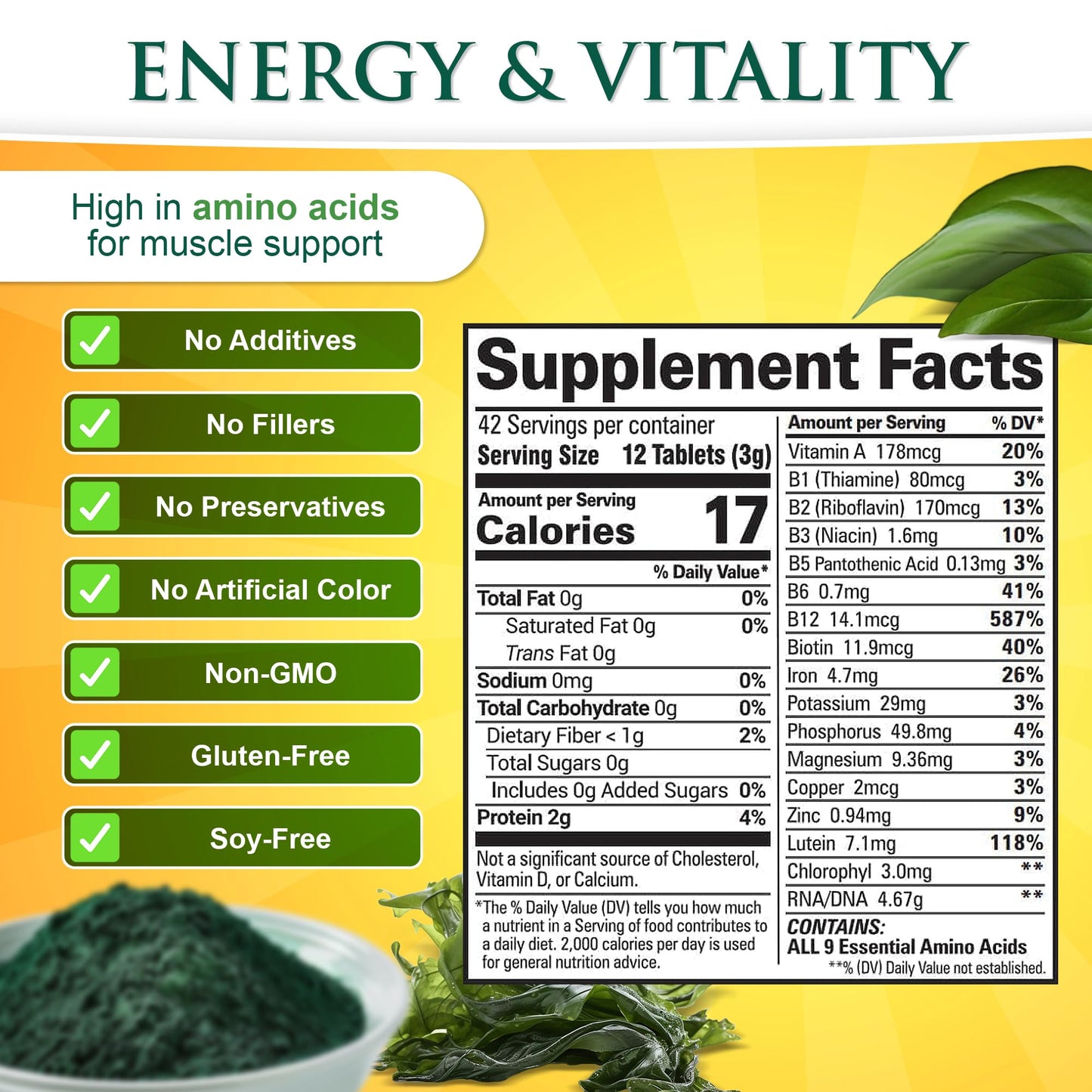 Sunlit Best vegan protein supplement tablets texture