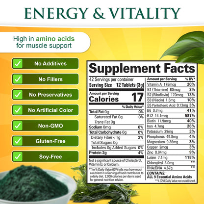Sunlit Best vegan protein supplement tablets texture