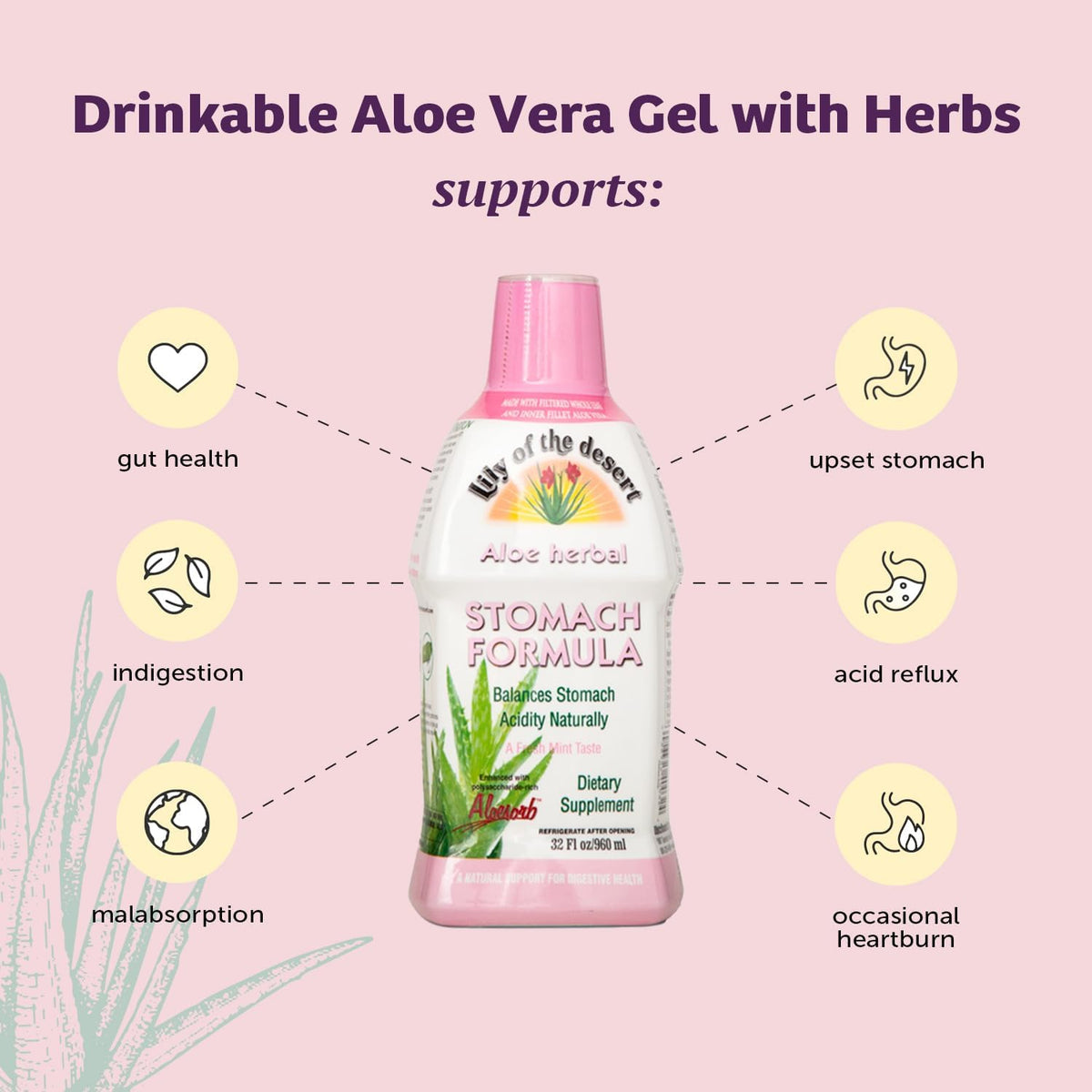 Close up of Lily of the Desert organic aloe vera juice ingredients