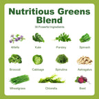 Hand holding Tecepec Greens Daily superfood supplement gummies
