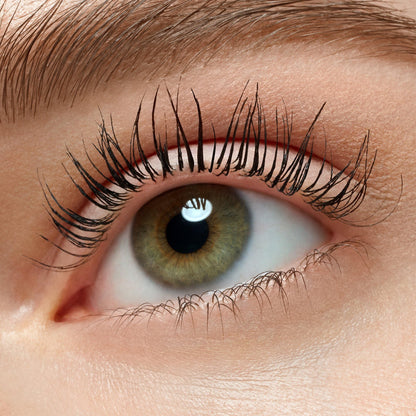Side angle view of the authentic USA imported Essence Lash Without Limits packaging showing volume details.